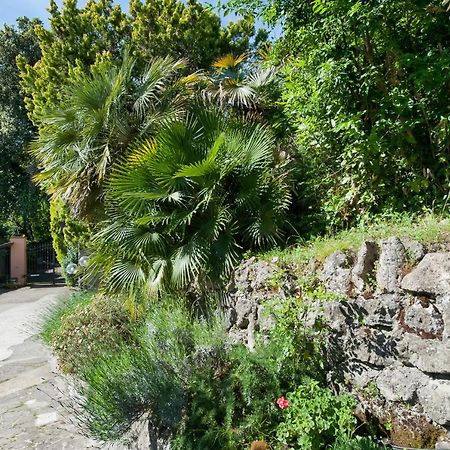 Villalbert Castel Gandolfo Ngoại thất bức ảnh